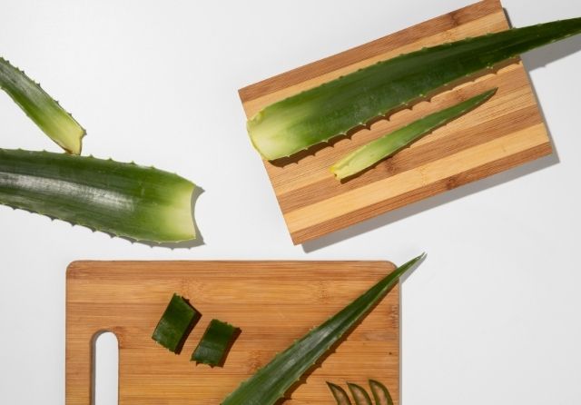 Aloe vera pour après l'épilation